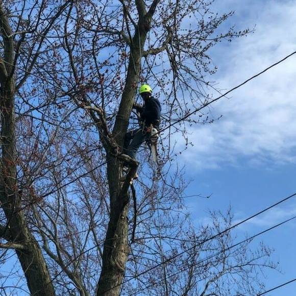 Meet your Posher, Wiley - Picture 1 of 1